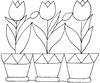 Laminas para colorear dibujos de primavera tulipanes